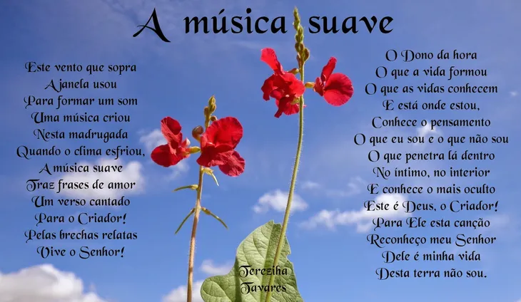 7165 85822 - Poema Sobre Musica