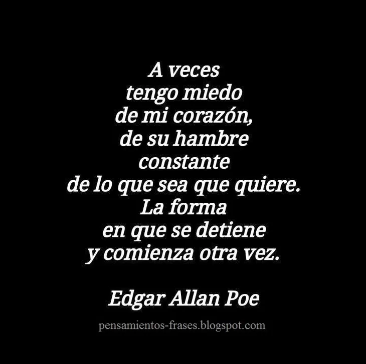 7213 6817 - Frases Allan Poe