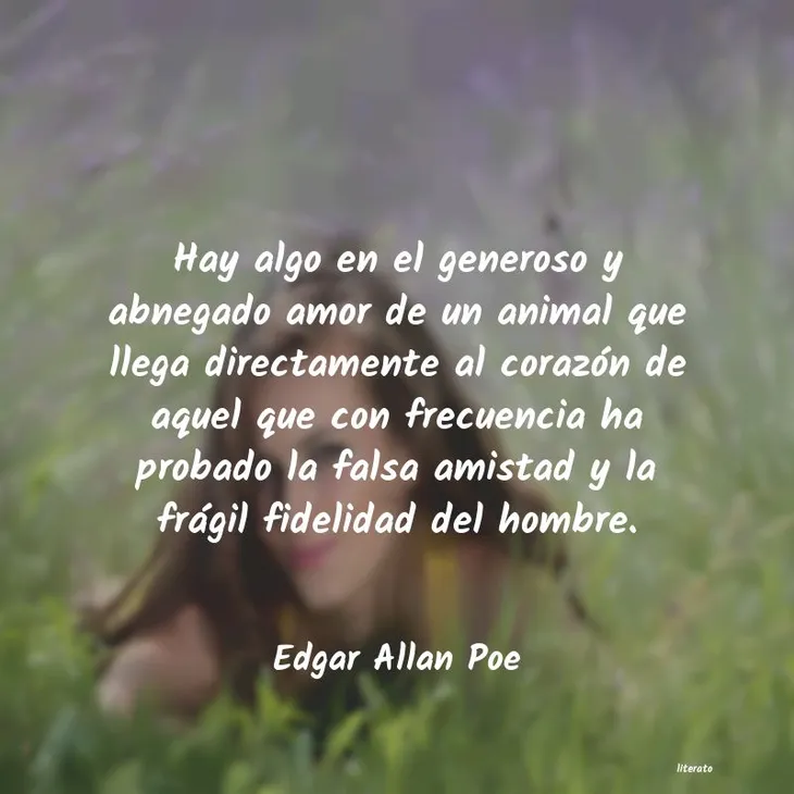 7213 6840 - Frases Allan Poe