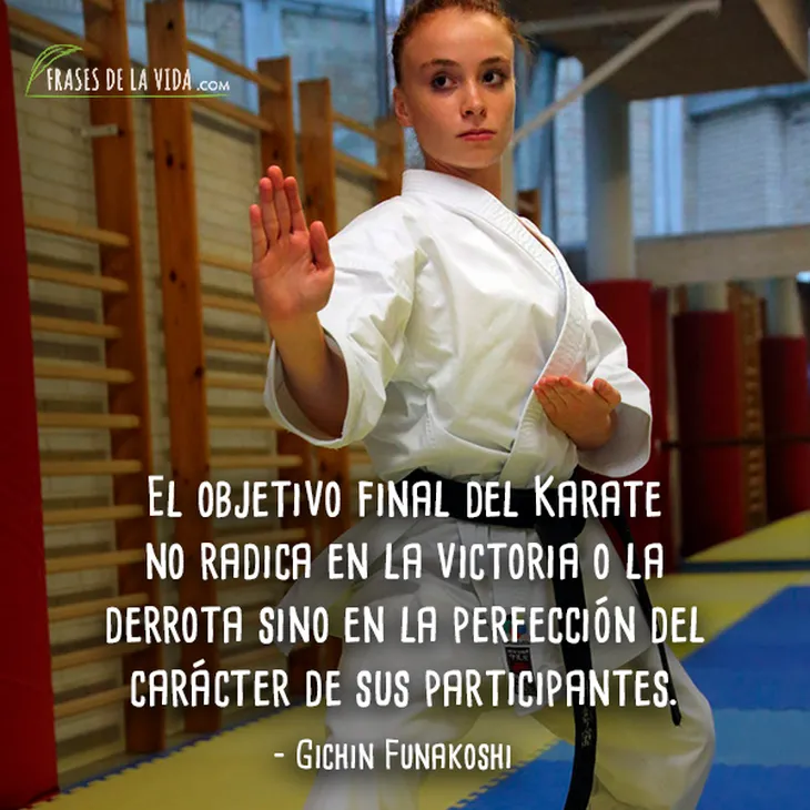 7314 50624 - Gichin Funakoshi Frases