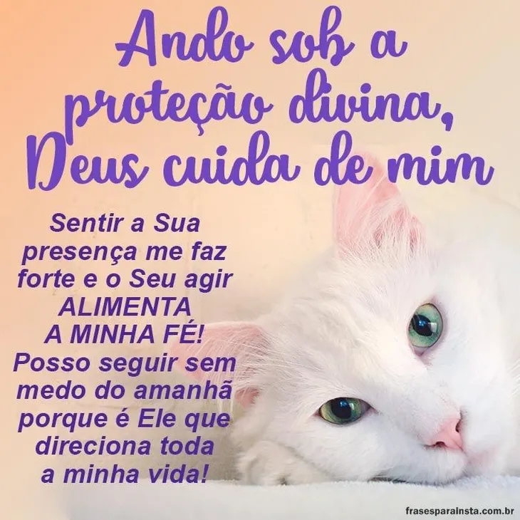 7346 83633 - Deus Cuida De Mim