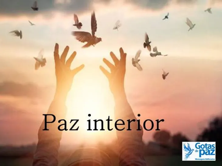 7381 87581 - Paz Interior