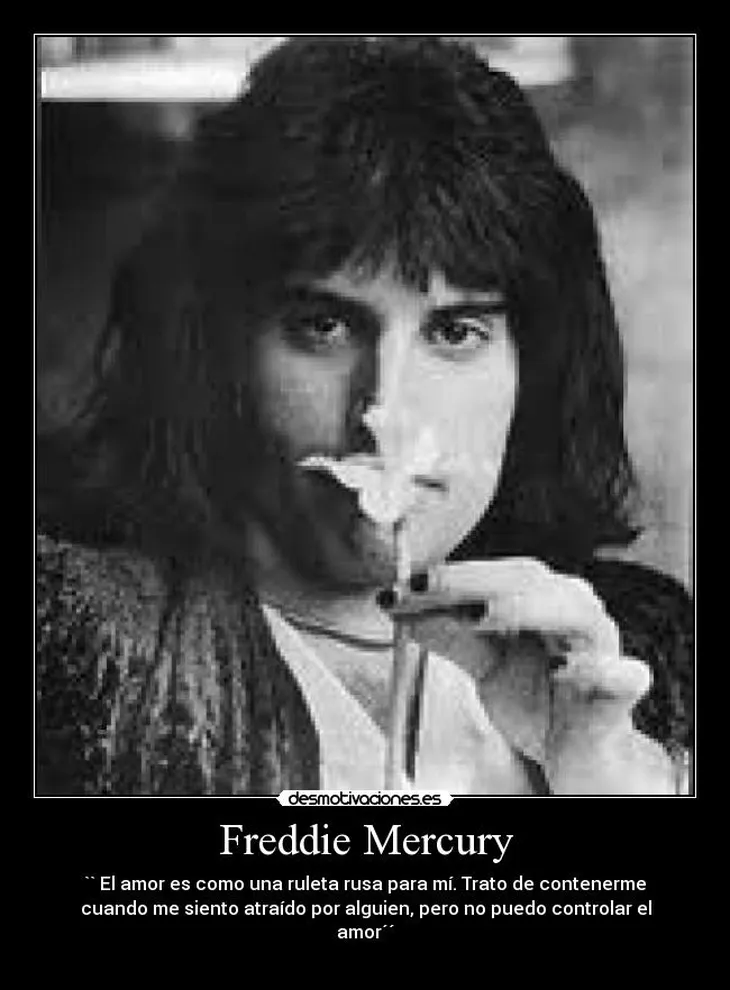 7459 8915 - Frases De Freddie Mercury