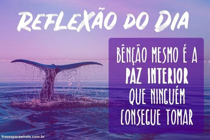 7502 66021 - Frases Reflexao