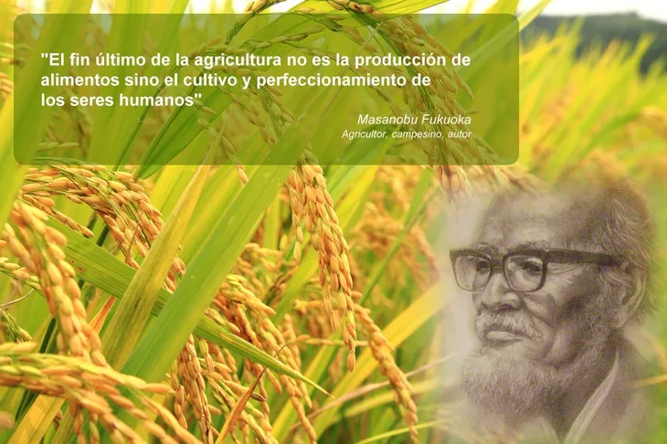 7575 49652 - Agricultura Frases