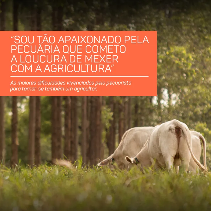 7575 49653 - Agricultura Frases