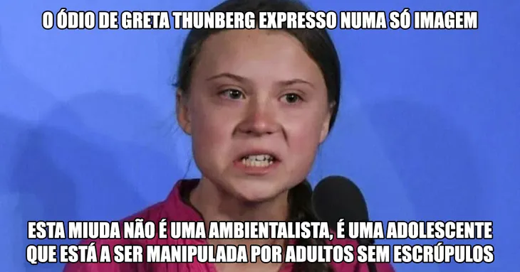 7624 70644 - Memes Greta