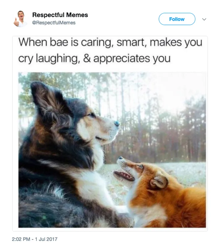 7704 21229 - Wholesome Memes