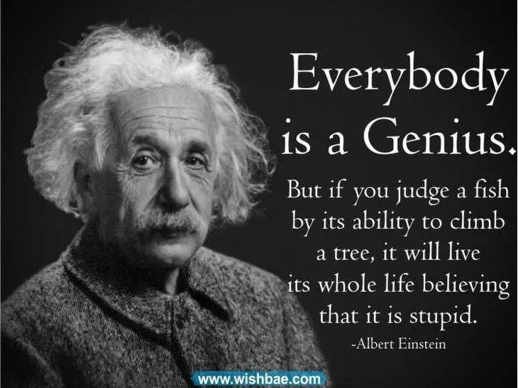 7726 32361 - Genius A Vida De Einstein