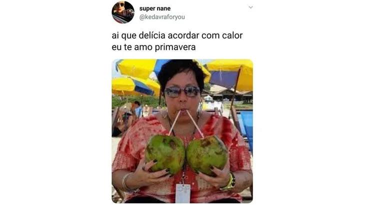 7817 29686 - Memes Del Calor