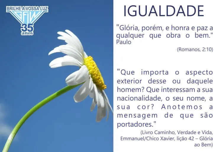 7827 64586 - Frases Sobre Igualdade