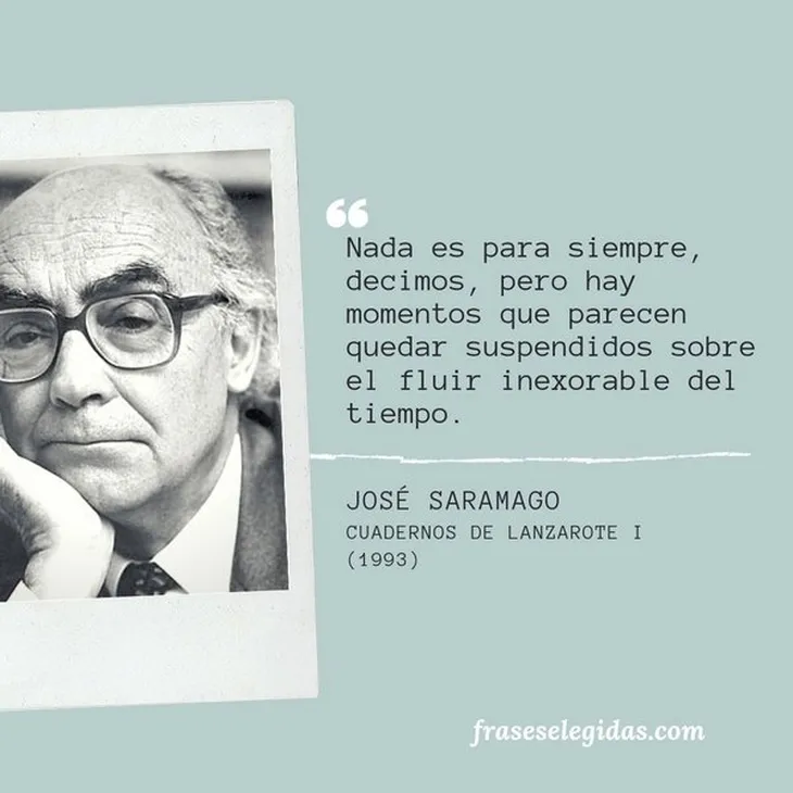 7849 8542 - Saramago Frases