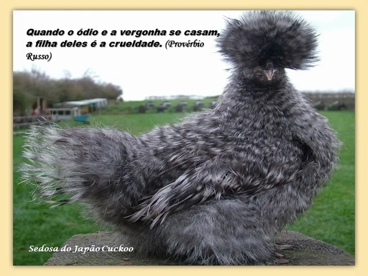 7881 29519 - Proverbios Russos