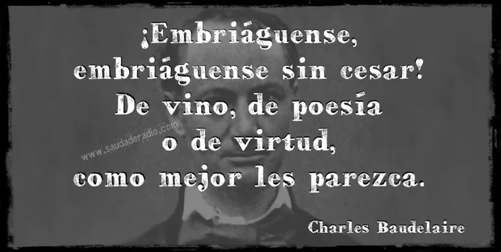 7993 47538 - Frases Charles Baudelaire