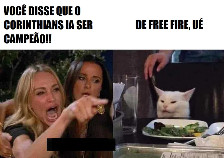804 4736 - Memes Free Fire
