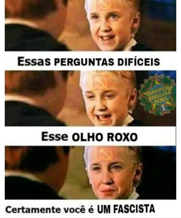 8050 80244 - Memes De Direita