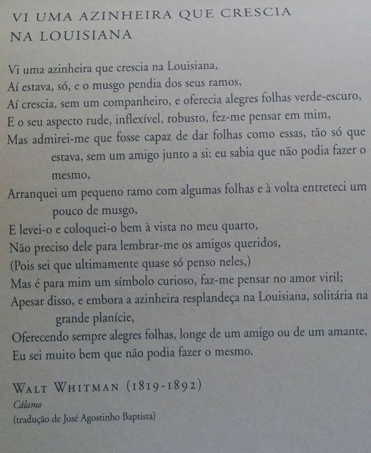 8137 87108 - Walt Whitman Poemas