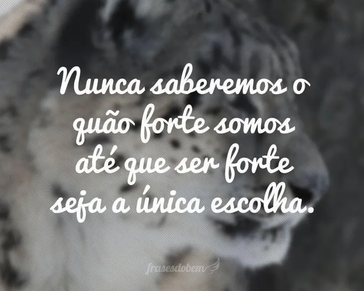 8154 42067 - Frases Emotivas