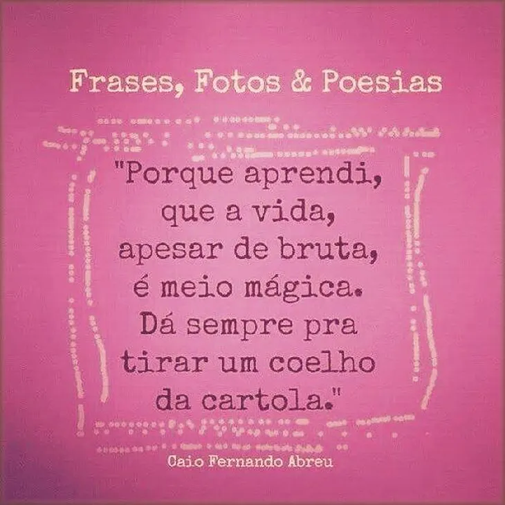 8199 23596 - Frases Cartola