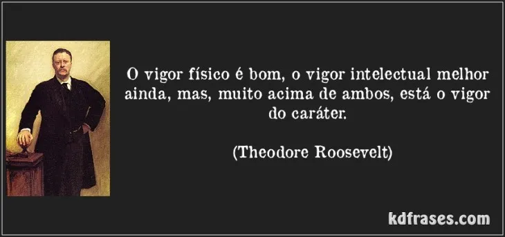 8241 35979 - Theodore Roosevelt Frases