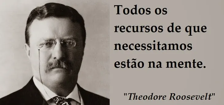 8241 35987 - Theodore Roosevelt Frases