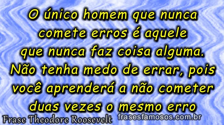 8241 35992 - Theodore Roosevelt Frases