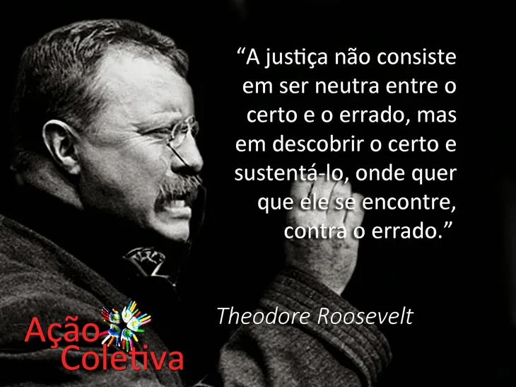 8241 35997 - Theodore Roosevelt Frases