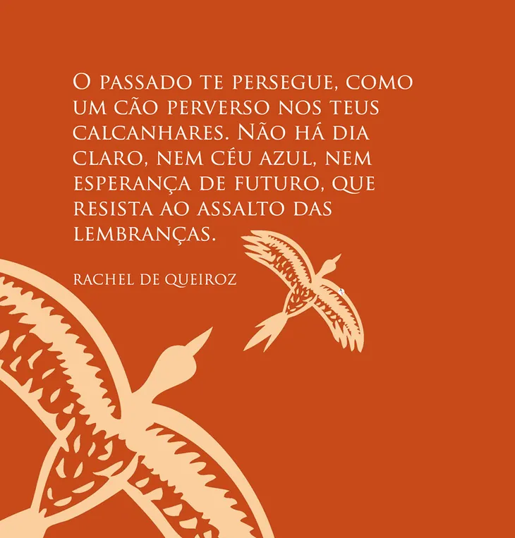 8328 69930 - Frases De Raquel De Queiroz