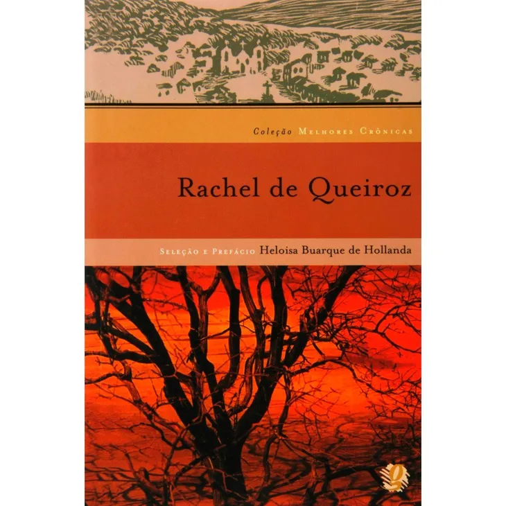 8328 69947 - Frases De Raquel De Queiroz