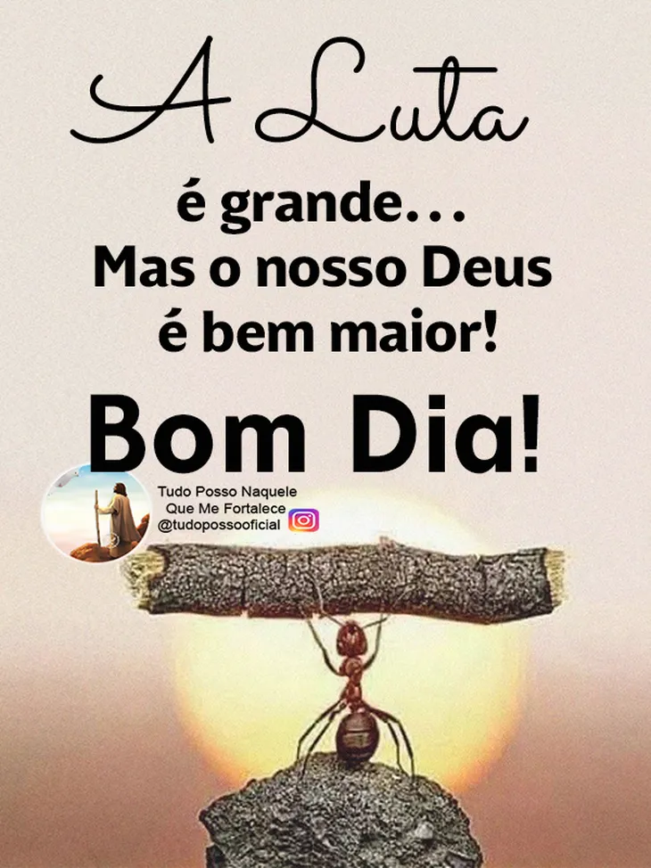 8332 112756 - Bom Dia Quinta Feira