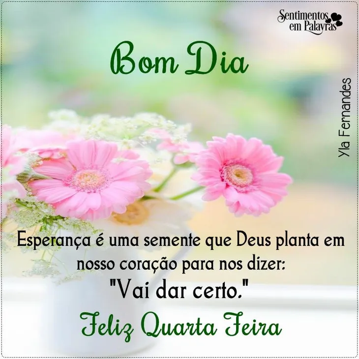 8332 112764 - Bom Dia Quinta Feira