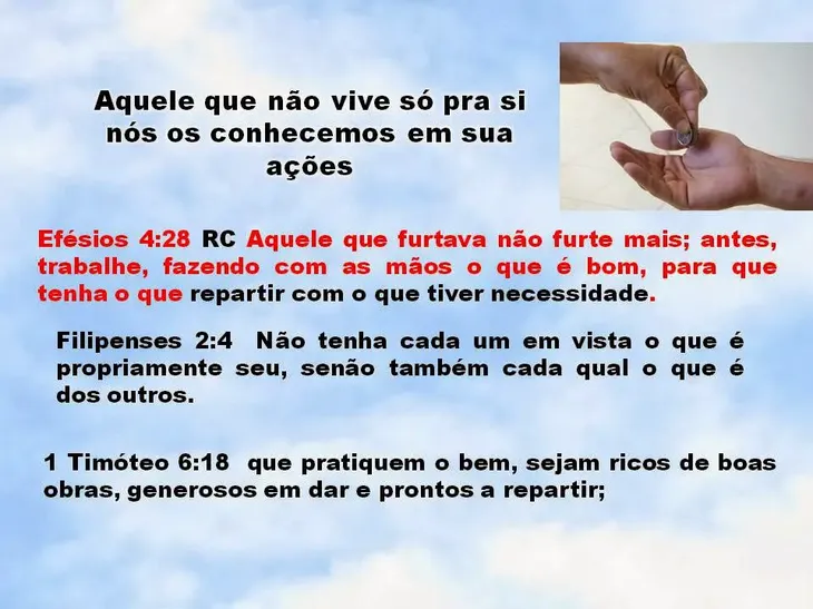 8395 51100 - Frases Sobre Irmãos