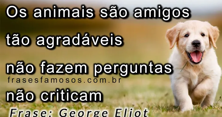 8415 36332 - George Eliot Frases