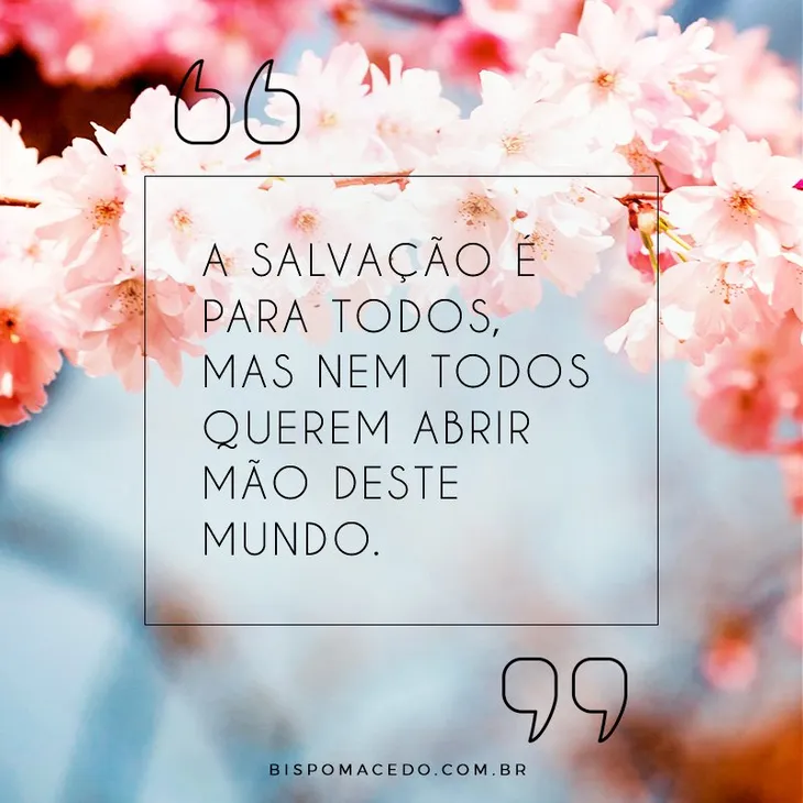 8459 65298 - Frases Do Bispo Macedo