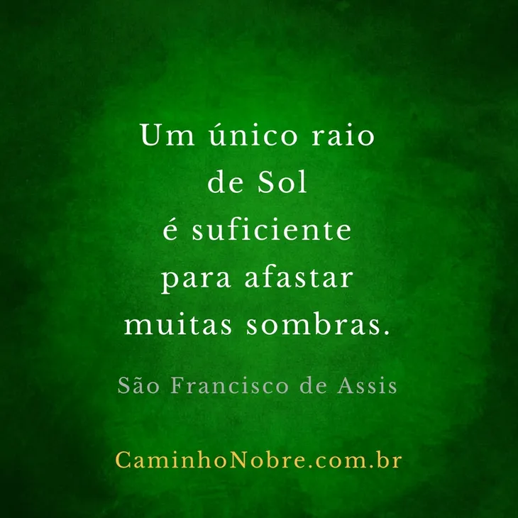 8488 67515 - Frases De Sombra