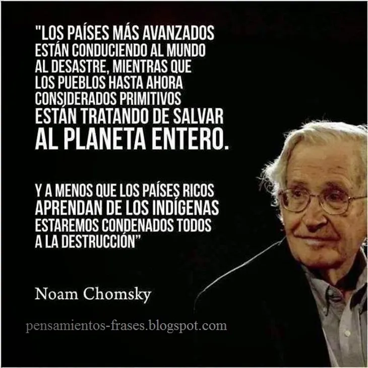 8496 50677 - Noam Chomsky Frases