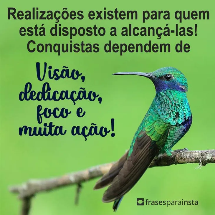 850 108251 - Frases De Foco