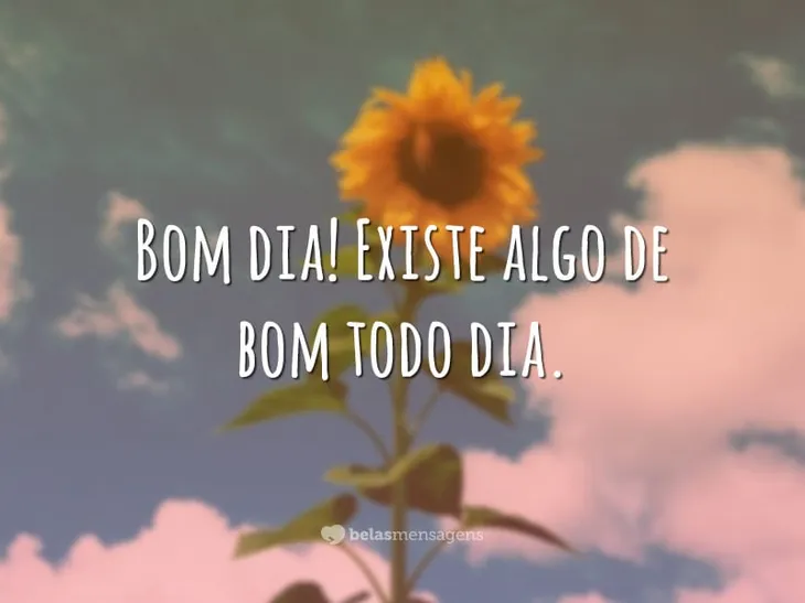 8585 6326 - Todo Dia Frases