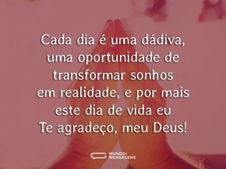 8585 6342 - Todo Dia Frases