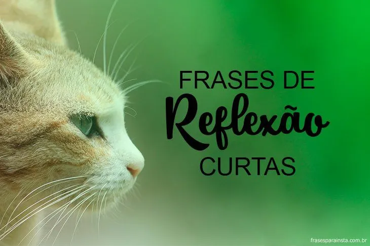 8658 88028 - Frases Curtas De Reflexão