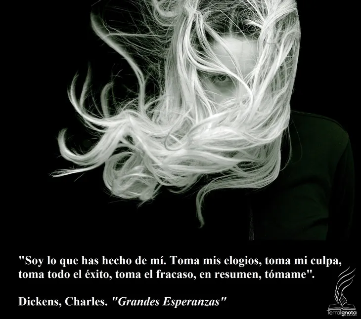 8672 50080 - Charles Dickens Frases
