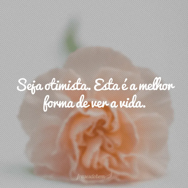 8702 96006 - Frases De Bem Estar