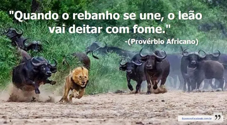 8710 111854 - Proverbios Africanos