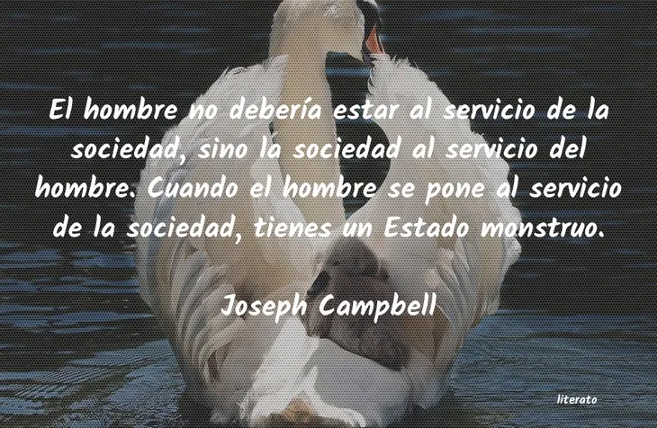 8739 87527 - Joseph Campbell Frases