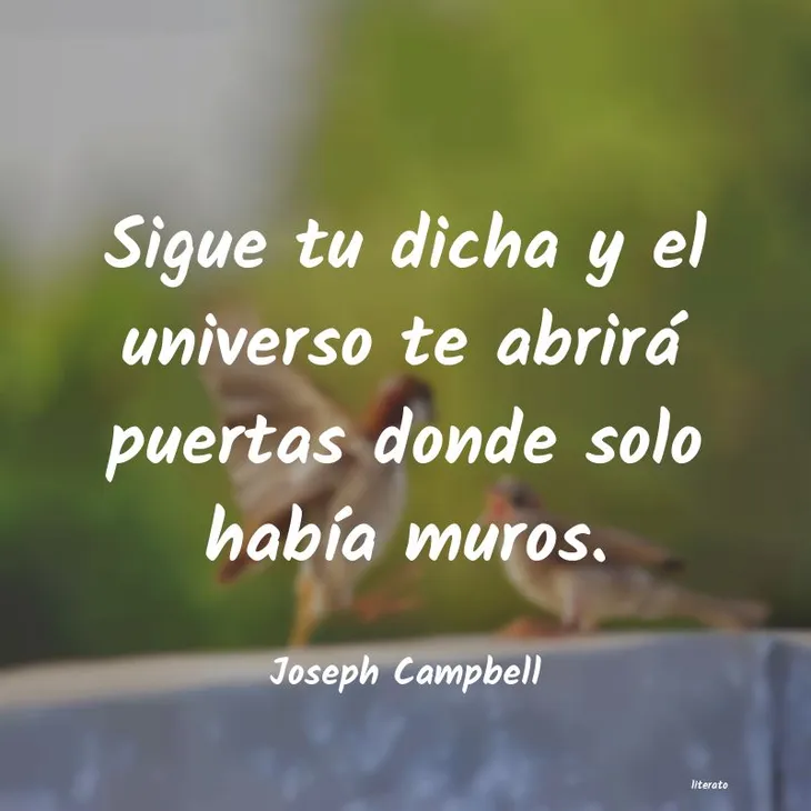 8739 87534 - Joseph Campbell Frases