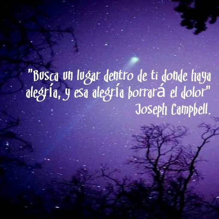 8739 87539 - Joseph Campbell Frases