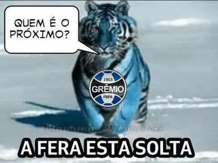 8814 47020 - Flamengo X Grêmio Memes