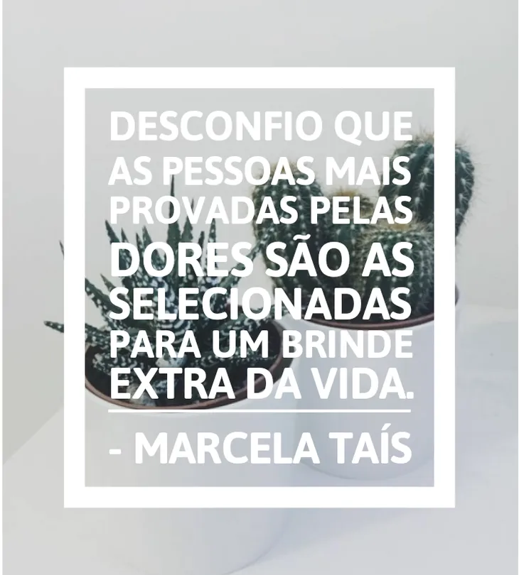 8888 114223 - Frases Marcela Tais