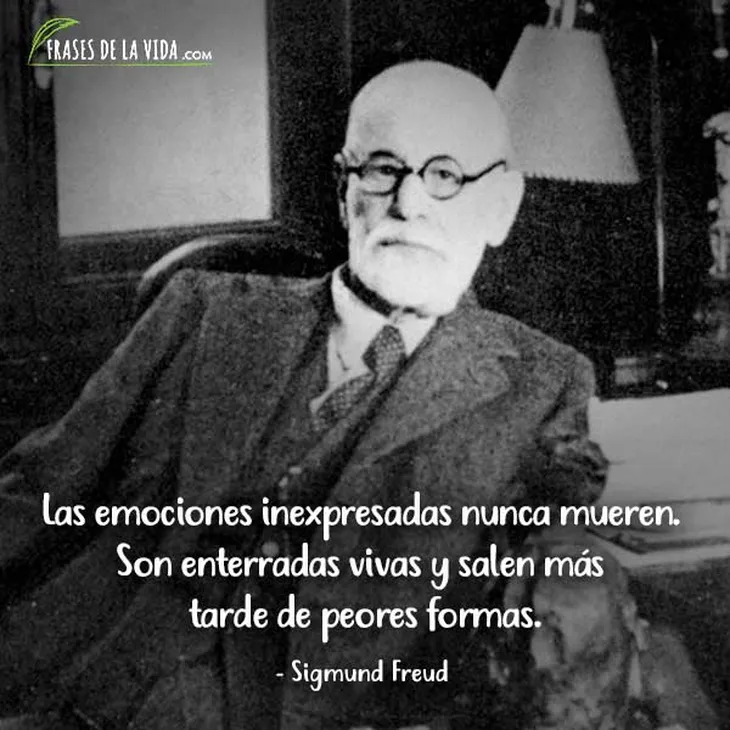 9009 43159 - Frases De Freud