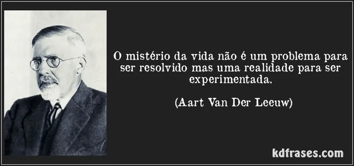 9017 60792 - Darcy Ribeiro Frases